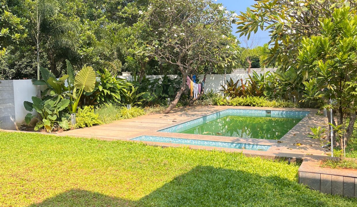 ed0bd082-8ea7-4748-a55c-fa09186ff48f